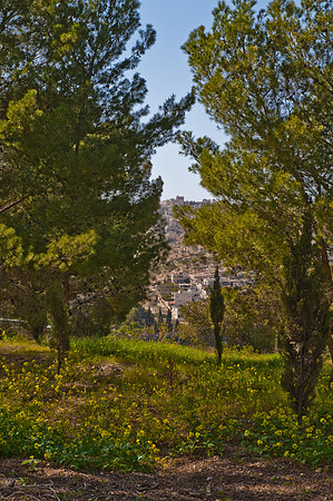 Shepherd's Field, Bethlehem