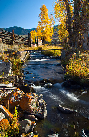 Morning in Lamar Valley