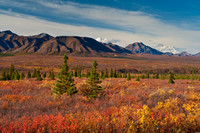 Approach to Denali