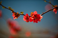 Spring is Here
